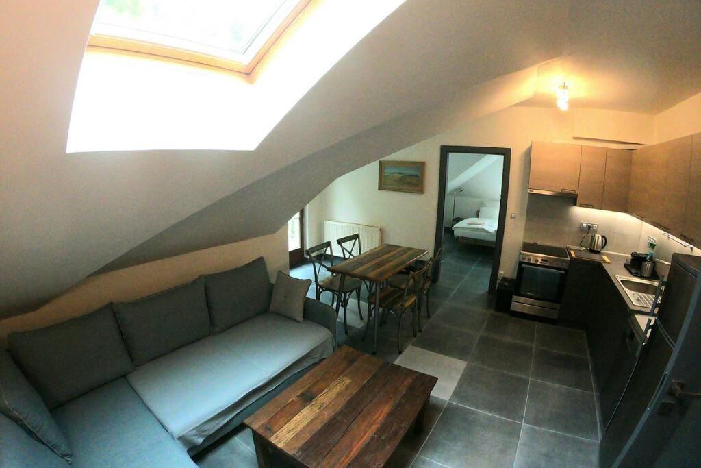 The Mountain Loft Klinovec - With Infrasauna 야히모프 외부 사진